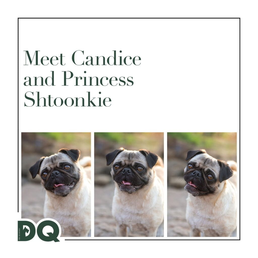 MEET CANDICE AND PRINCESS SHTOONKIE