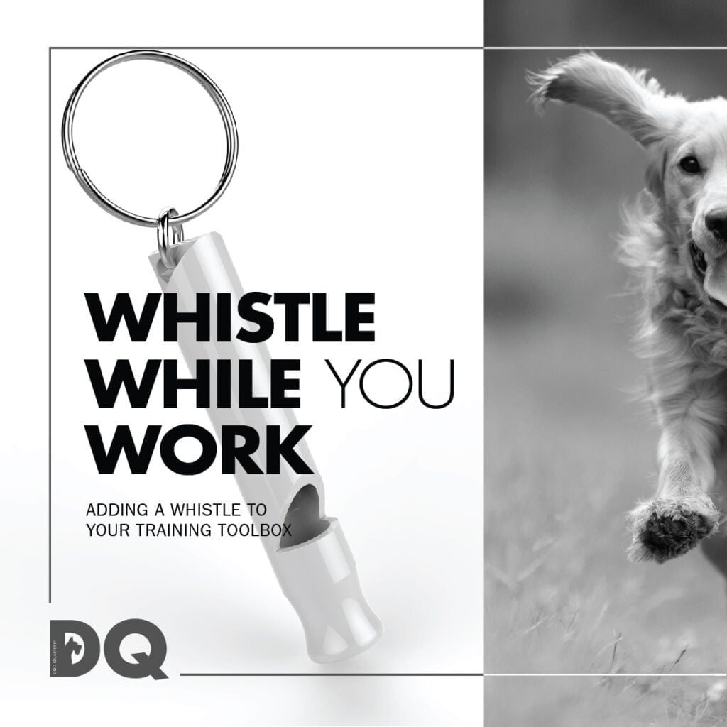 ADDING A WHISTLE TO YOUR TRAINING TOOLBOX