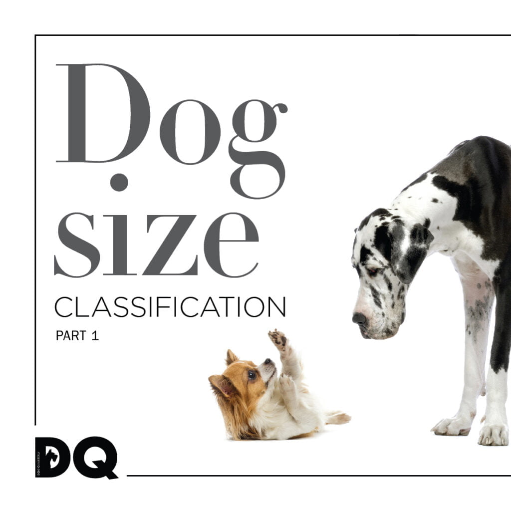 DOG SIZE CLASSIFICATION – PART 1