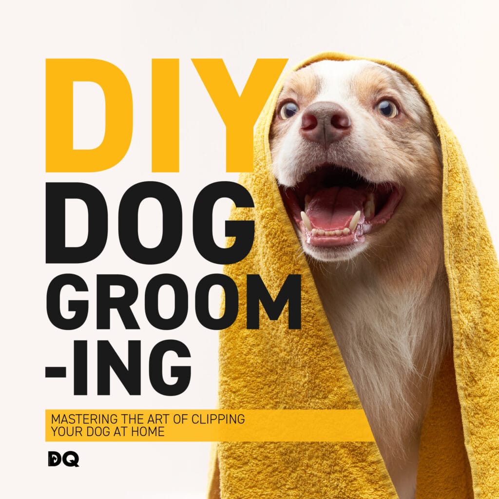 MASTERING THE ART OF CLIPPING YOUR DOG AT HOME