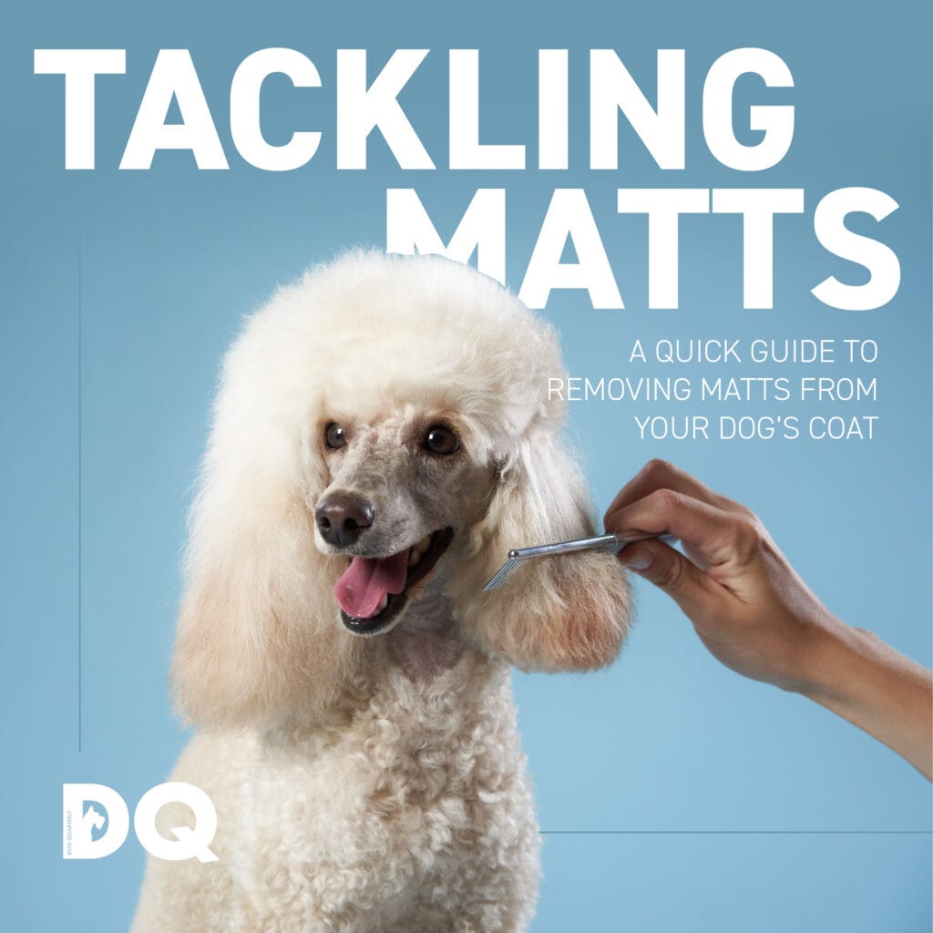 A QUICK GUIDE TO REMOVING MATTS FROM YOUR DOG’S COAT