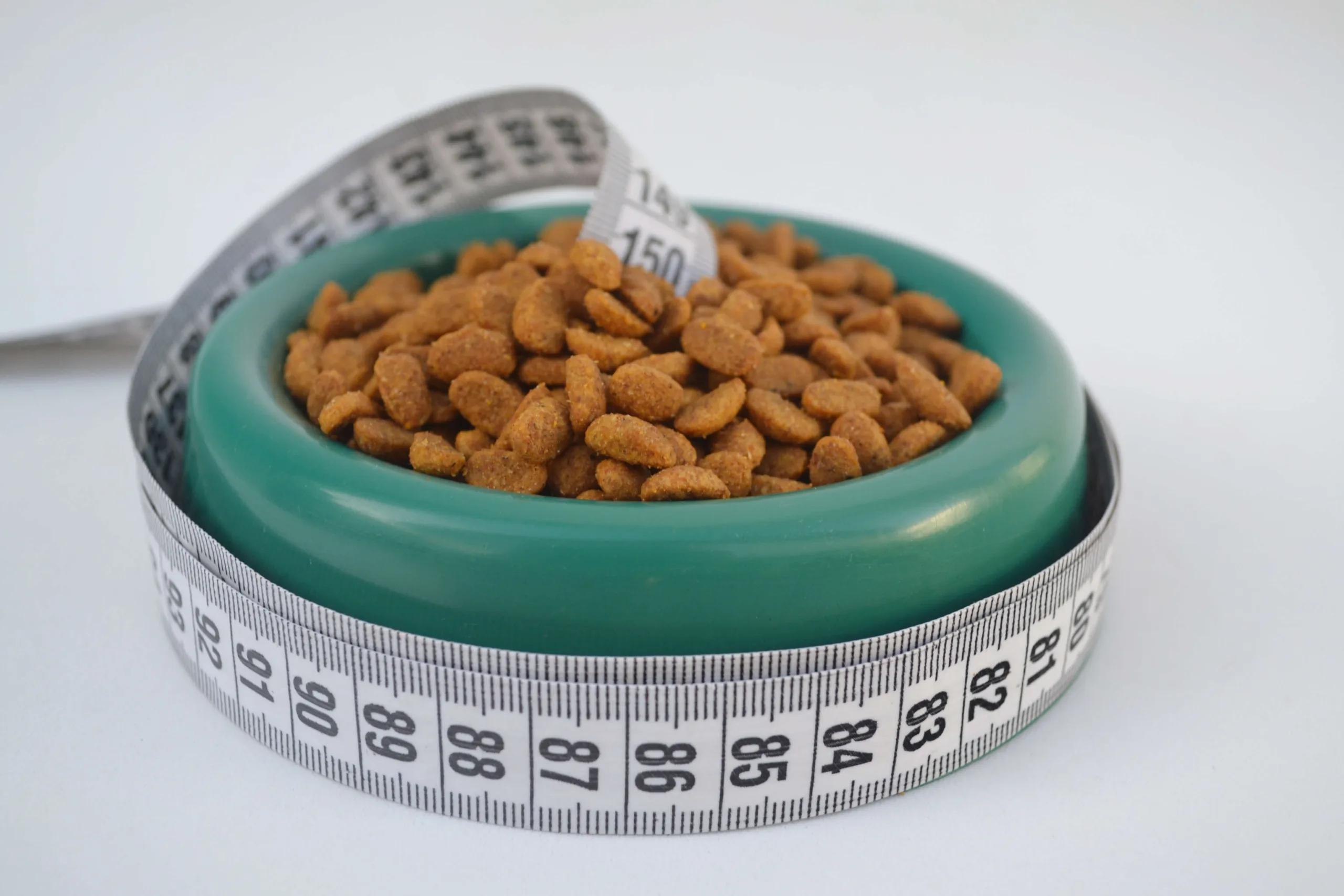 A bowl of dog food surrounded by a measuring tape on a white background - DQ Background