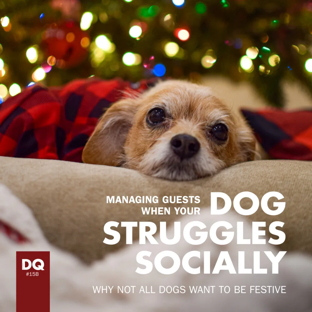 A title image for our article managing guests when your dog struggles socially